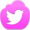 Twitter Bird Icon Image