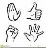 Body Parts Hands Clipart Image