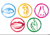 Clipart Of Five Senses Image