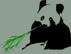 Panda Bear Eating Bamboo Clip Art