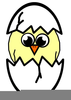 Baby Chick Hatching Clipart Image