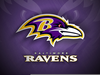 Baltimore Raven Clipart Image