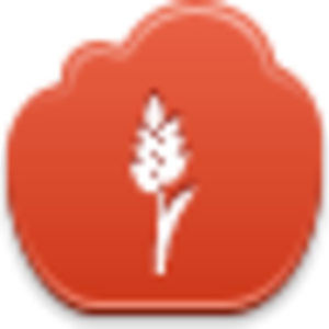 Wheet Icon Image