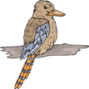 Kookaburra Clip Art