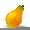 Clipart Of Different Fruits Image