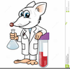 Rat Experiment Clipart Image