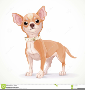 Free Animated Clipart Chihuahua Image