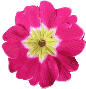 Pink Flower 9 Clip Art