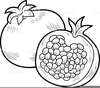 Pomegranates Clipart Image