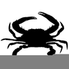 Md Blue Crab Clipart Image
