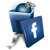 Facebook Gift 256 Image