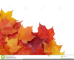 Free Clipart Images Fall Leaves Image