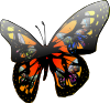 Butterfly With Lighting Effect Clip Art