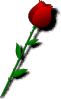 Rose Red Flower Clip Art