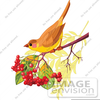 Whimsical Bird Nest Clipart Image