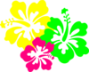 Hibiscus Clip Art