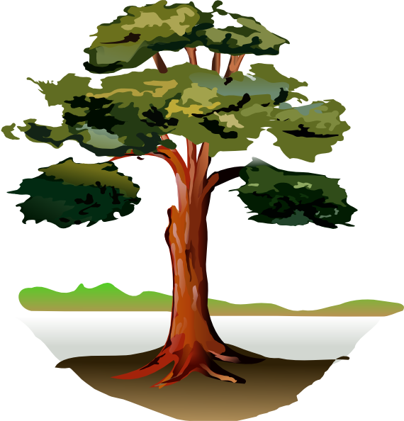 Tree Clip Art at Clker.com - vector clip art online, royalty free