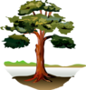 Tree Clip Art