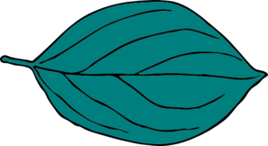 Teal Oval Leaf Clip Art