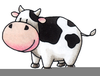 Free Cow Running Clipart Image