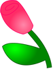 Rose 1 Image
