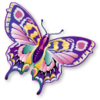 Butterfly Image