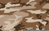 Free Camouflage Clipart Background Image