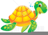 Loggerhead Turtles Clipart Image