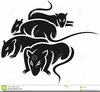 Clipart Rats Image