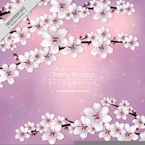 Copyright Free Clipart For Cherry Blossom Image