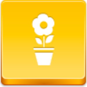 Pot Flower Icon Image
