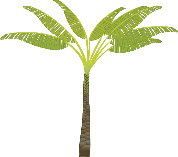 Palm Tree Clip Art at Clker.com - vector clip art online, royalty free