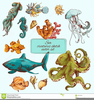 Ocean Creatures Clipart Image