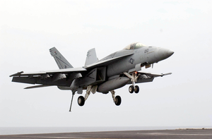 An F/a-18e Assigned To The  Tophatters  Of Strike Fighter Squadron Fourteen (vfa-14). Image