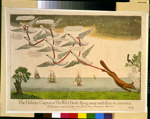 The Habeas Corpus, Or The Wild Geese Flying Away With Fox To America Image