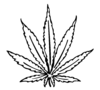 Cannabis Leaf Drawing I Image