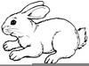Clipart Running Rabbit Image