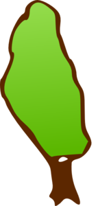Tall Skinny Tree Clip Art