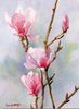 Magnolia Watercolor Painting Image