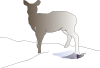 Deer Clip Art