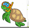 Cute Turtles Clipart Image