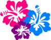 Hibiscus Clip Art