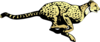 Running Cheetah Clip Art