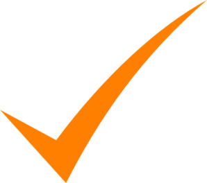 Check Mark Orange Clip Art
