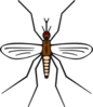 Mosquito In Brown Color Clip Art