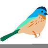 Clipart Blue Bird Image