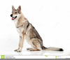 Clipart German Shepherd Dog Image