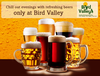 Bird Valley Evening Party Image