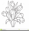 Tulips Clipart Black And White Image