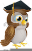 Owl Writing Clipart Image